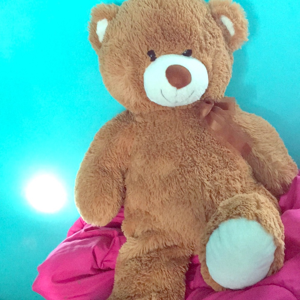 Giant Teddy Bear